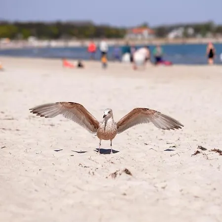 Hansehof Whg 16 בולטנהאגן