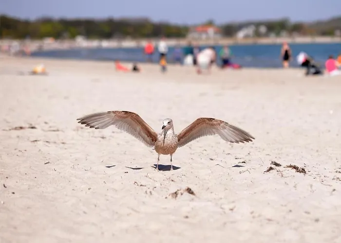 Hansehof Whg 16 Boltenhagen (Ostseebad)